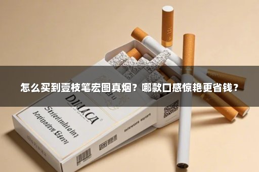 怎么买到壹枝笔宏图真烟？哪款口感惊艳更省钱？
